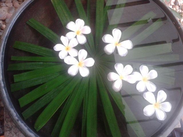 Ao Nang Baan Lompai 빌라 객실 사진